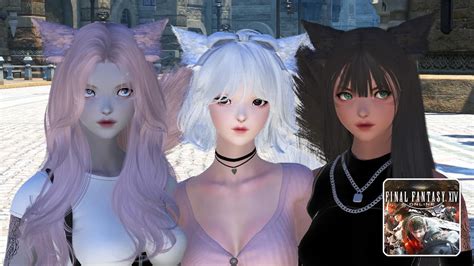 mods ffxiv|ffxiv install mods.